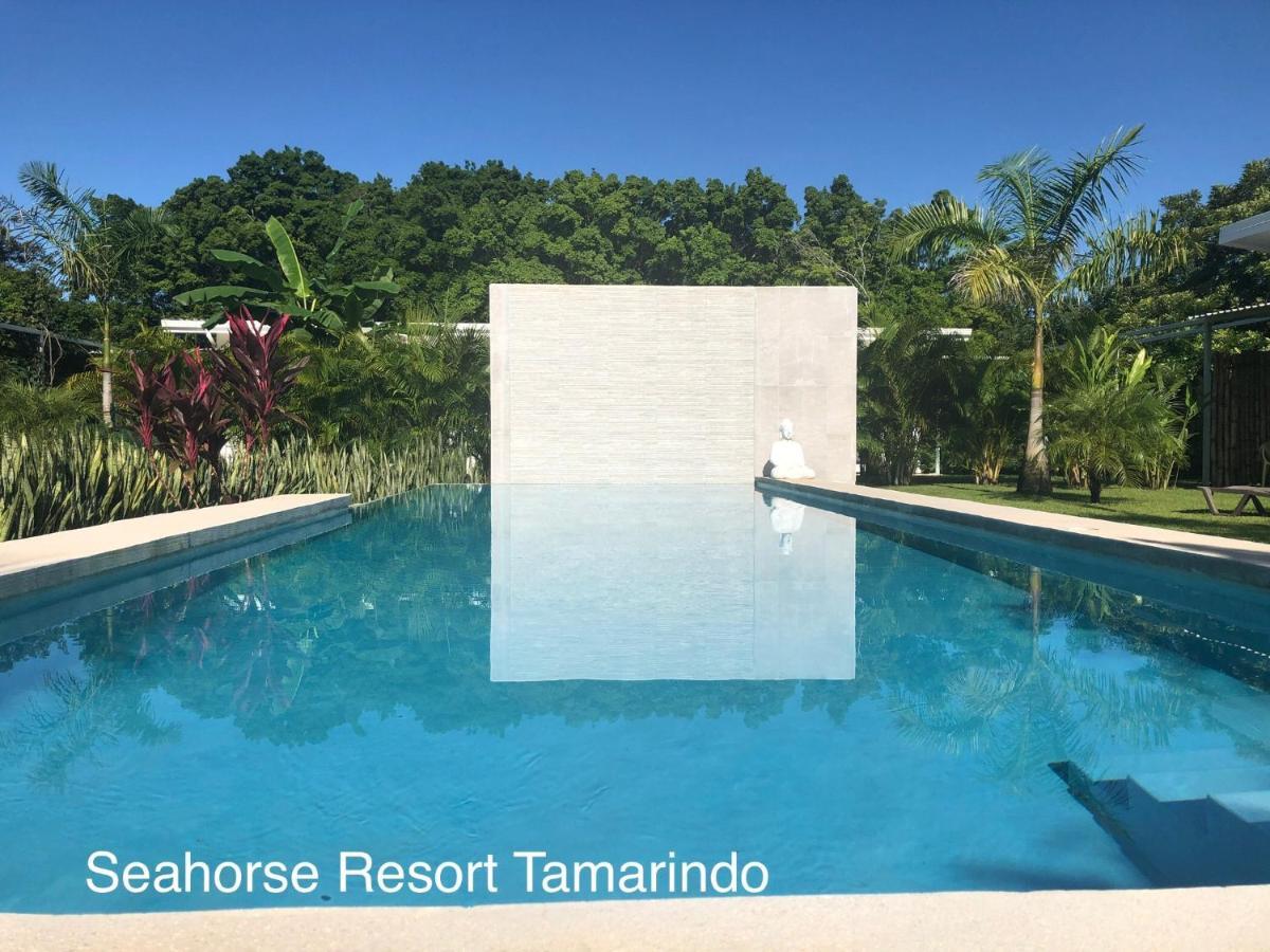 Seahorse Resort Tamarindo Luaran gambar